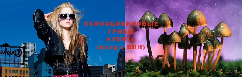 OMG как войти  Валуйки  Псилоцибиновые грибы Psilocybine cubensis  хочу  